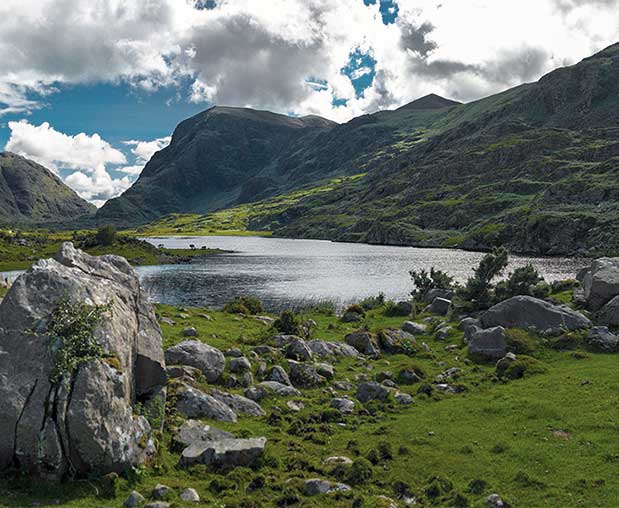 Further - We've got your back, every step of the way.